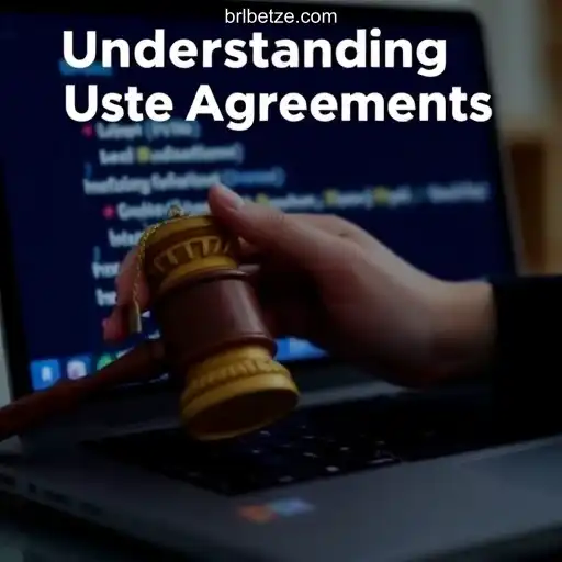 Understanding User Agreements: A Closer Look